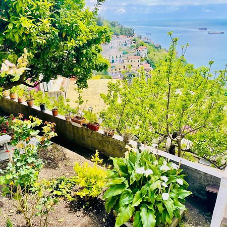 Borgo Virginia - Sea View In Amalfi Coast Apartman Vietri Kültér fotó